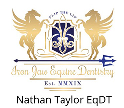 Iron Jaw Equine Dentistry