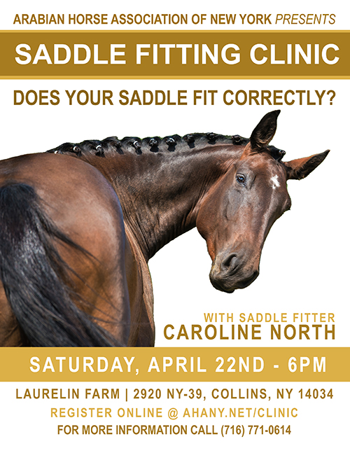 saddle fitting poster