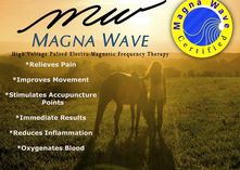 Magna Wave Therapy