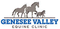 Genesee Valley Equine Clinic